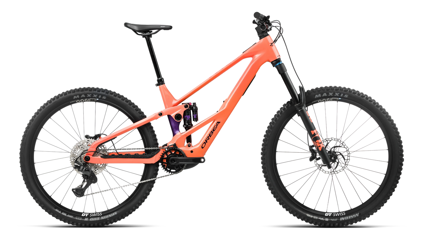 WILD LT H10 2027