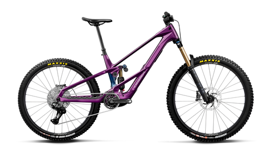 WILD LT M10 Mullet 2027