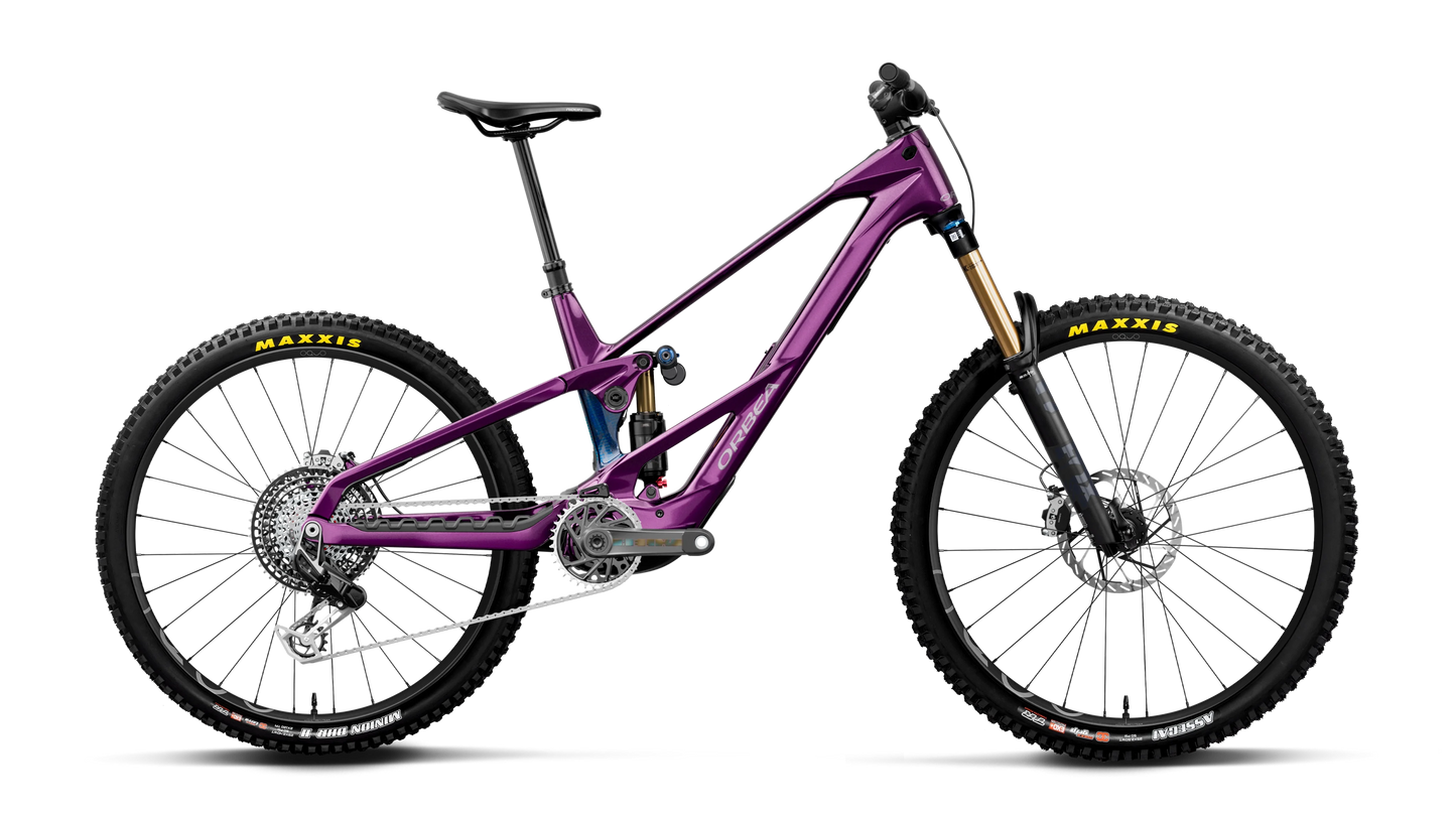 WILD LT M-LTD RS Mullet 2027