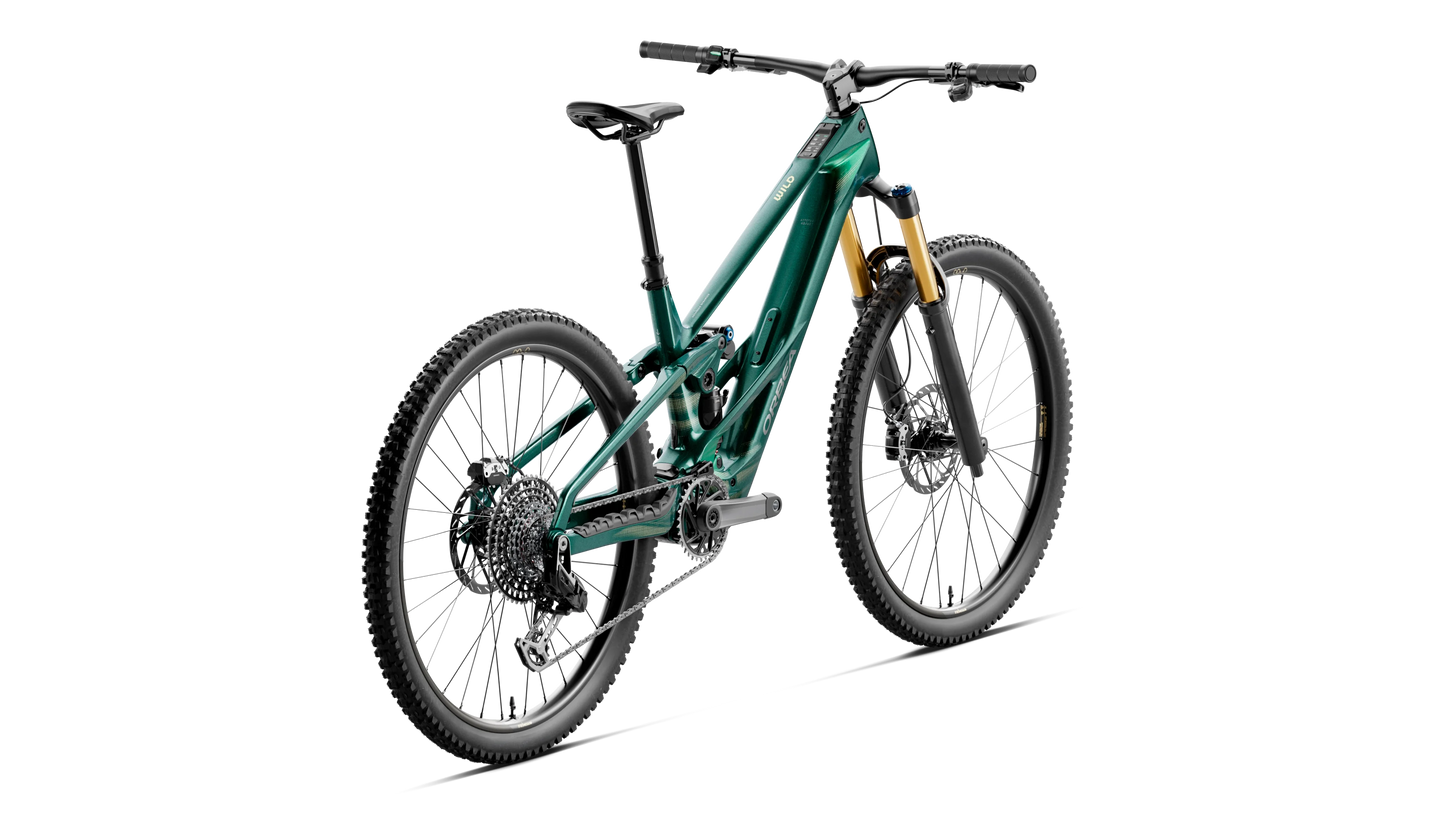 WILD LT M-LTD RS Mullet 2027