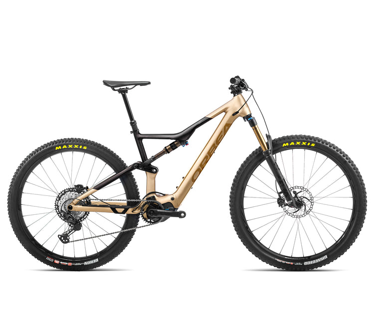 RISE H10 2022