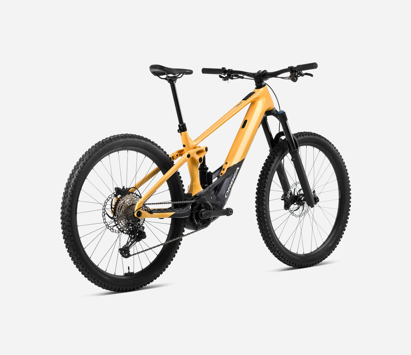 WILD H30 2024