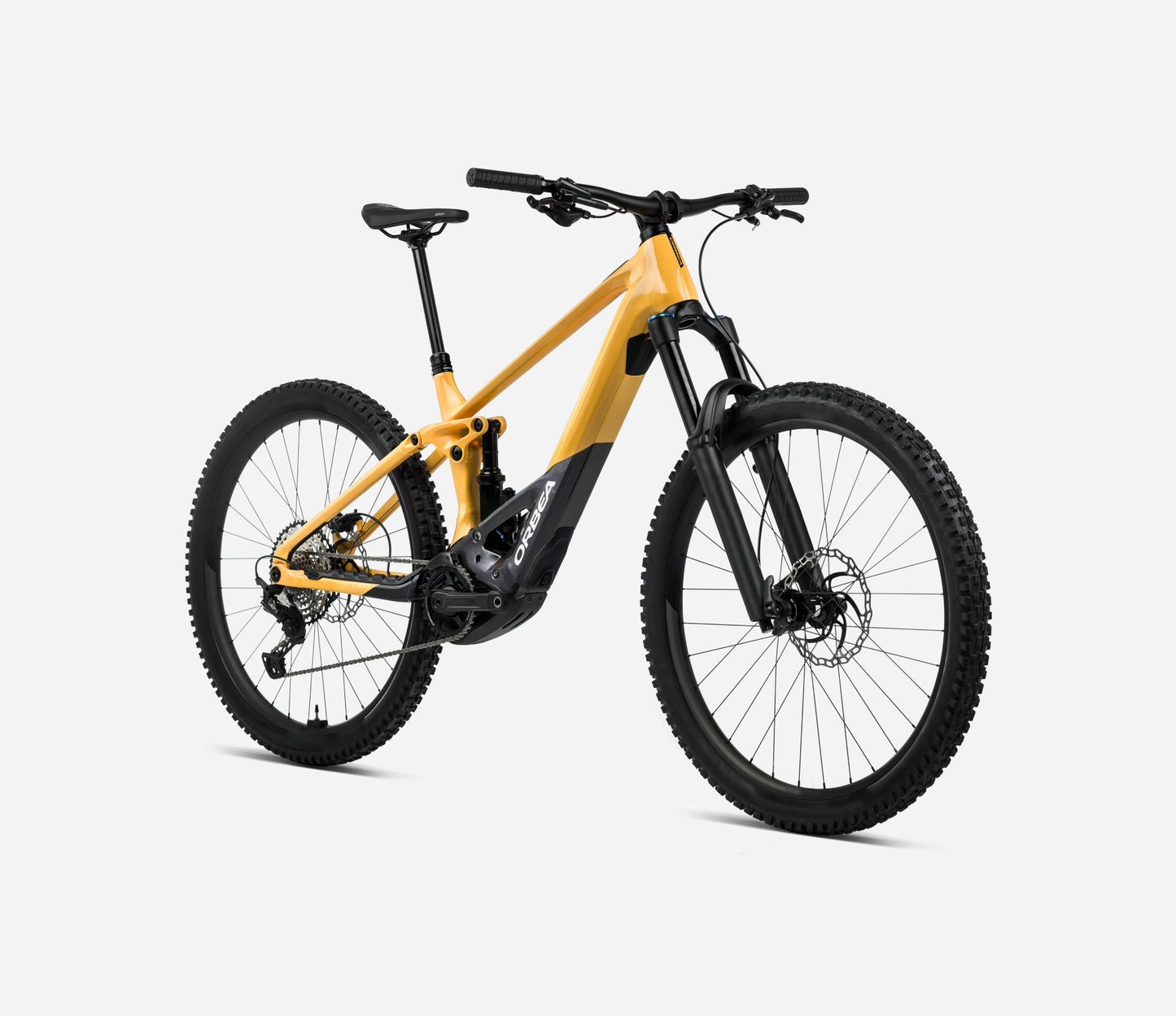 WILD H20-EAGLE 2024